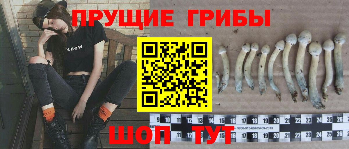 Галлюциногенные грибы ЛСД Копейск