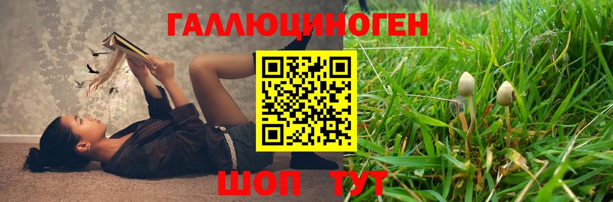 Псилоцибиновые грибы Magic Shrooms  Вход с VPN  Копейск 
